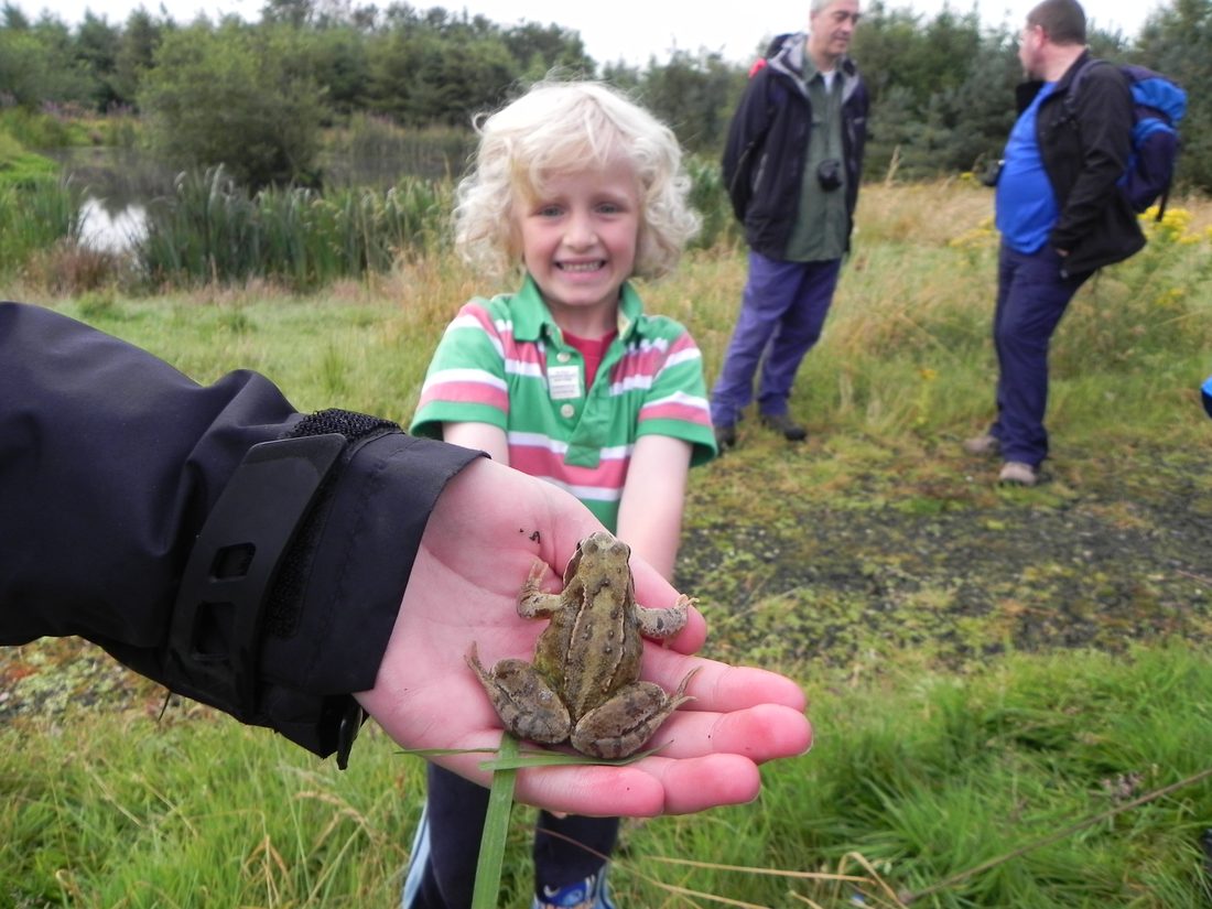 Cameron meets a frog