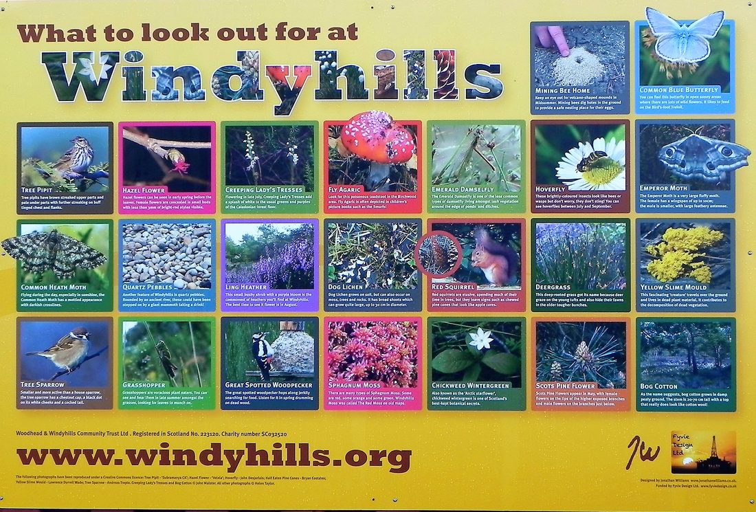 Information board