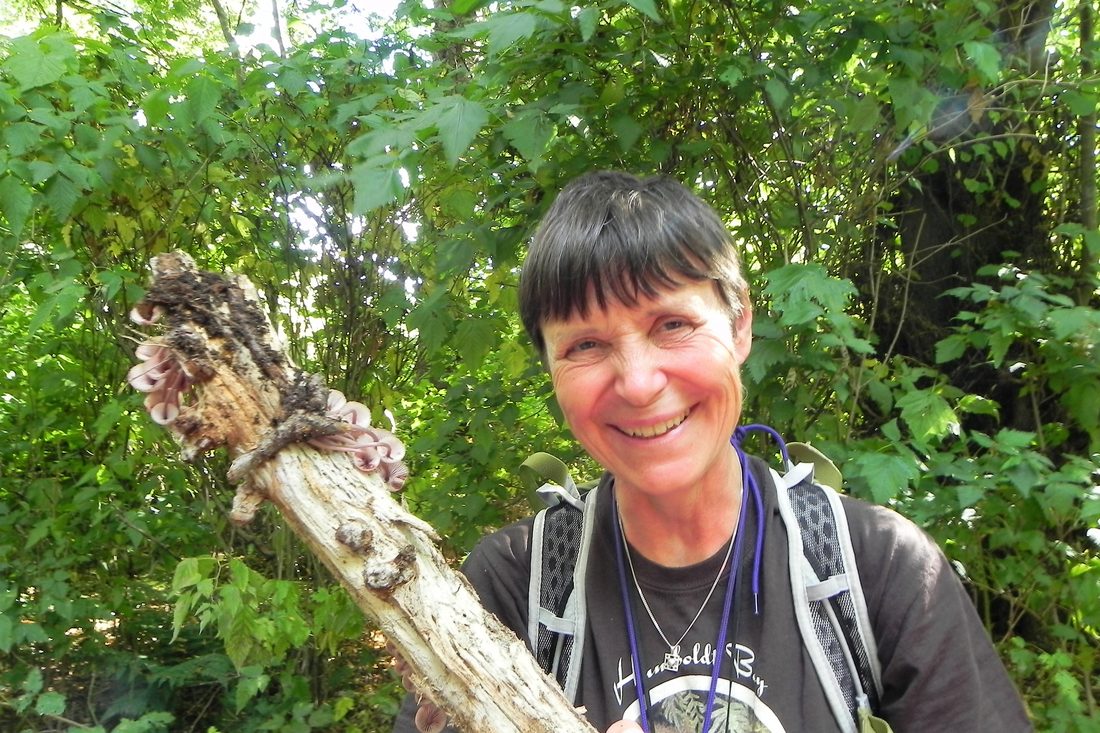 Liz Holden Fungi Expert