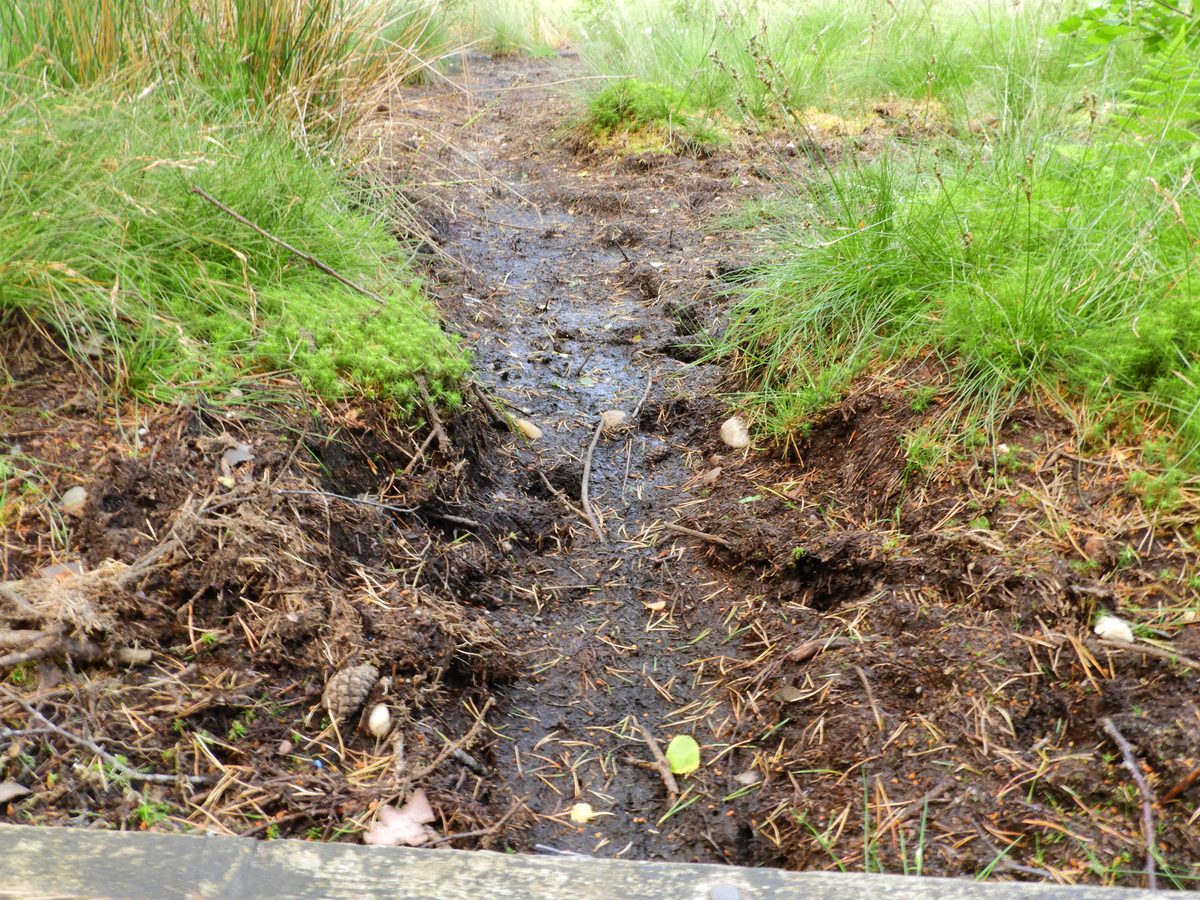 Melt water channel, 2017