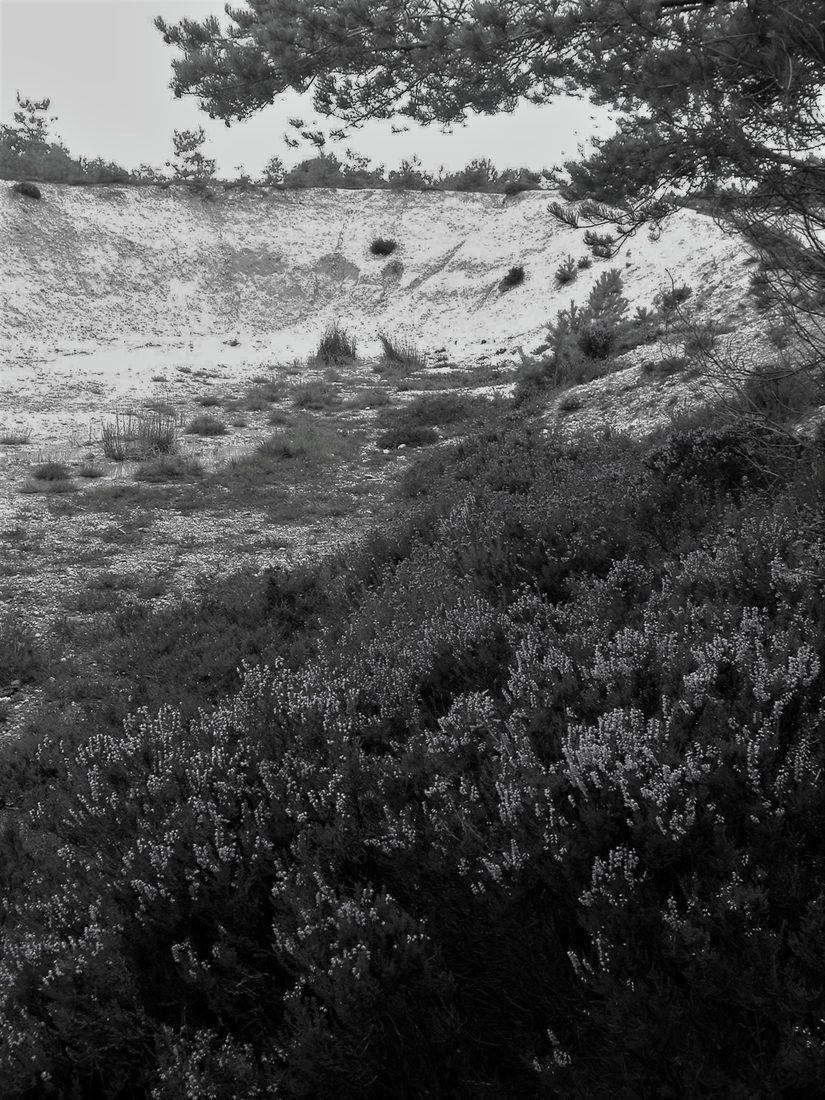 The quarry