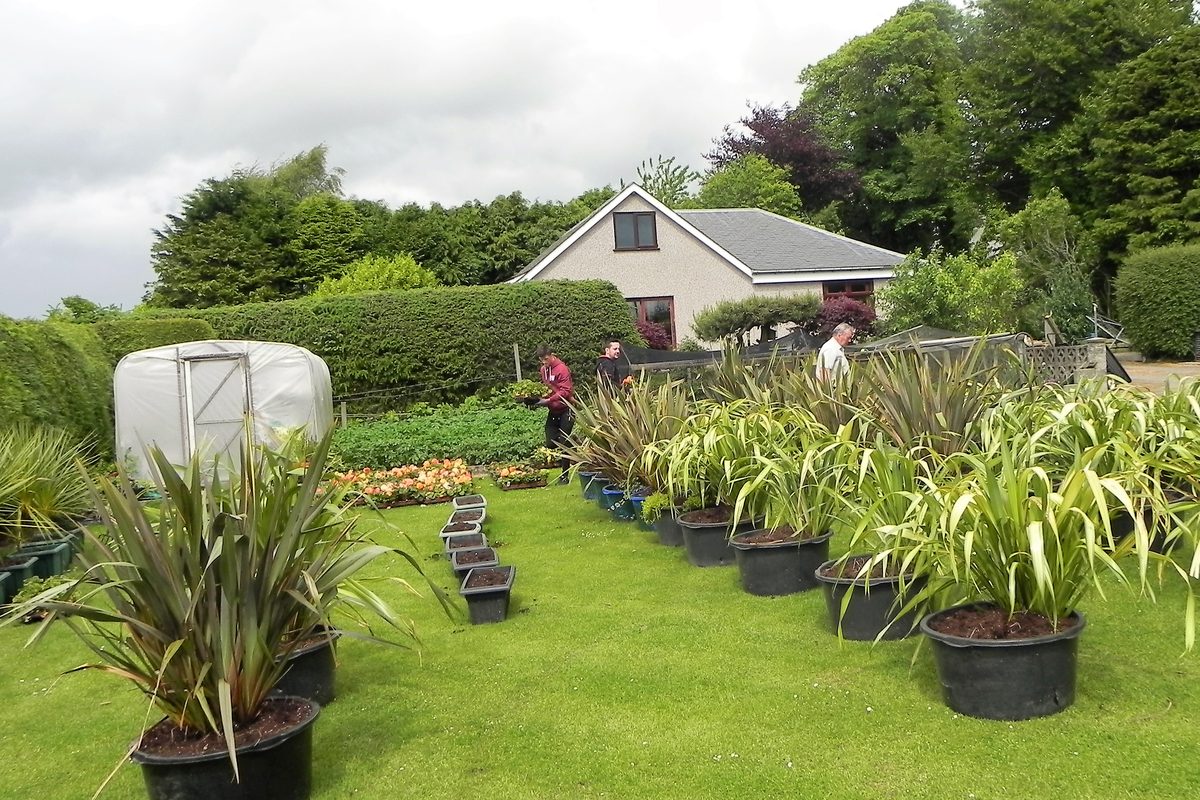 Woodhead is recycling plants, compost and tubs