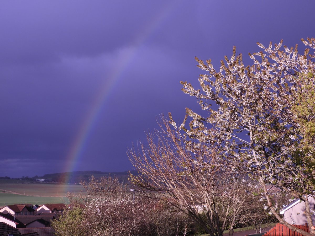 Rainbow